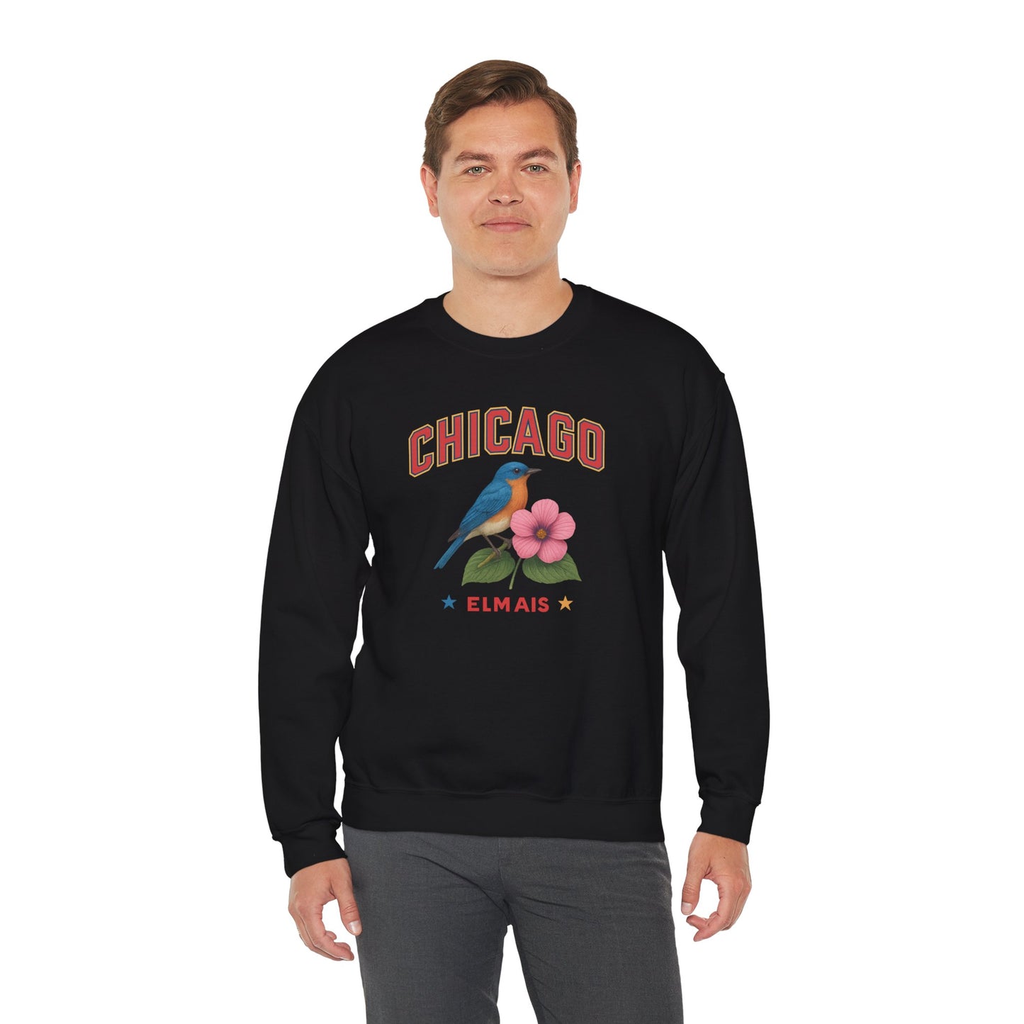 RAVAGE Chicago City Vibe Unisex Crewneck Sweatshirt