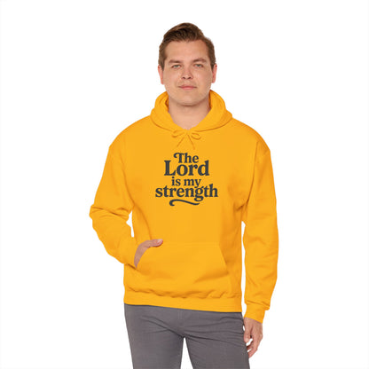 Faith-Inspired Hooded Sweatshirt, Cozy Christian Apparel, Gift for Believers, Inspirational Hoodie, Church Outing Wear