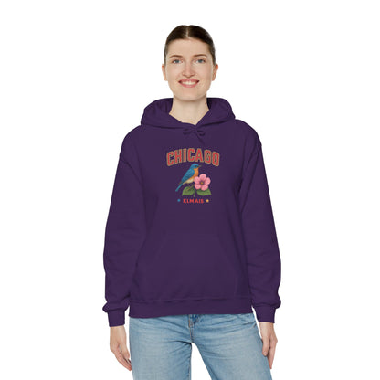 Chicago "The Windy City" Unisex Hoodie – Cozy Sweatshirt, Casual Travel Souvenir, Relaxed Streetwear Gift for Nature & City Lovers