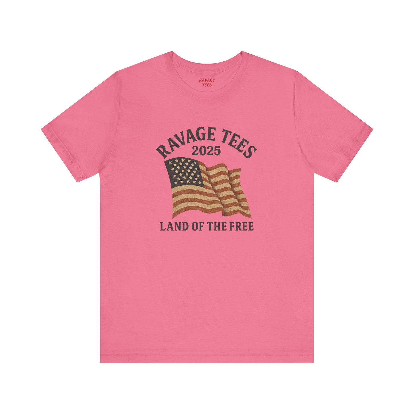 RaVage Vintage Tee: "Land of the Free"