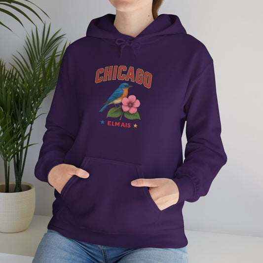 Chicago "The Windy City" Unisex Hoodie – Cozy Sweatshirt, Casual Travel Souvenir, Relaxed Streetwear Gift for Nature & City Lovers