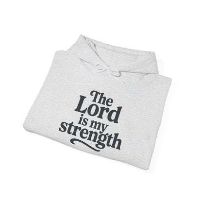 Faith-Inspired Hooded Sweatshirt, Cozy Christian Apparel, Gift for Believers, Inspirational Hoodie, Church Outing Wear