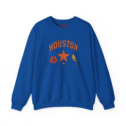RAVAGE Houston(H-Town) Vibe Unisex Crewneck Sweatshirt
