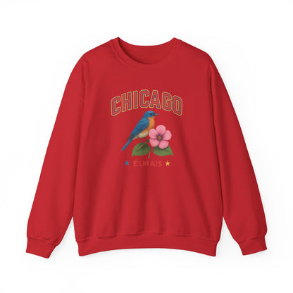 RAVAGE Chicago City Vibe Unisex Crewneck Sweatshirt