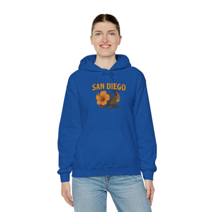 SAN DIEGO Unisex Hoodie – Cozy Sweatshirt, Casual Travel Souvenir, Relaxed Streetwear Gift for Nature & City Lovers