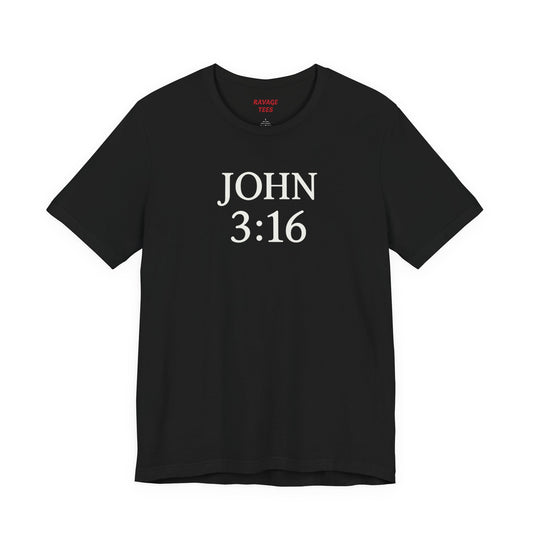 **JOHN 3:16
