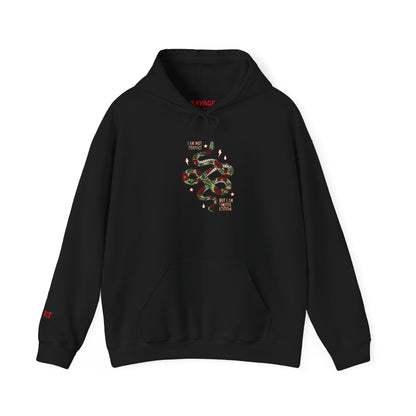 Trendy Unisex Hoodie, I Am Not Perfect Snake Design Shirt