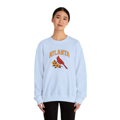 RAVAGE  Atlanta's City Vibe Unisex Crewneck Sweatshirt-Cozy Street gear