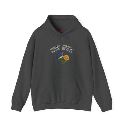 NEW YORK "THE EMPIRE STATE" Unisex Hoodie – Cozy Sweatshirt, Casual Travel Souvenir, Relaxed Streetwear Gift for Nature & City Lovers