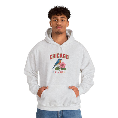 Chicago "The Windy City" Unisex Hoodie – Cozy Sweatshirt, Casual Travel Souvenir, Relaxed Streetwear Gift for Nature & City Lovers