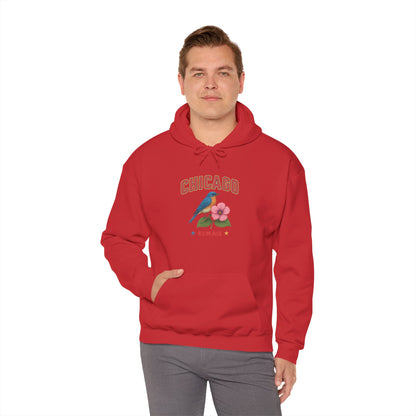 Chicago "The Windy City" Unisex Hoodie – Cozy Sweatshirt, Casual Travel Souvenir, Relaxed Streetwear Gift for Nature & City Lovers