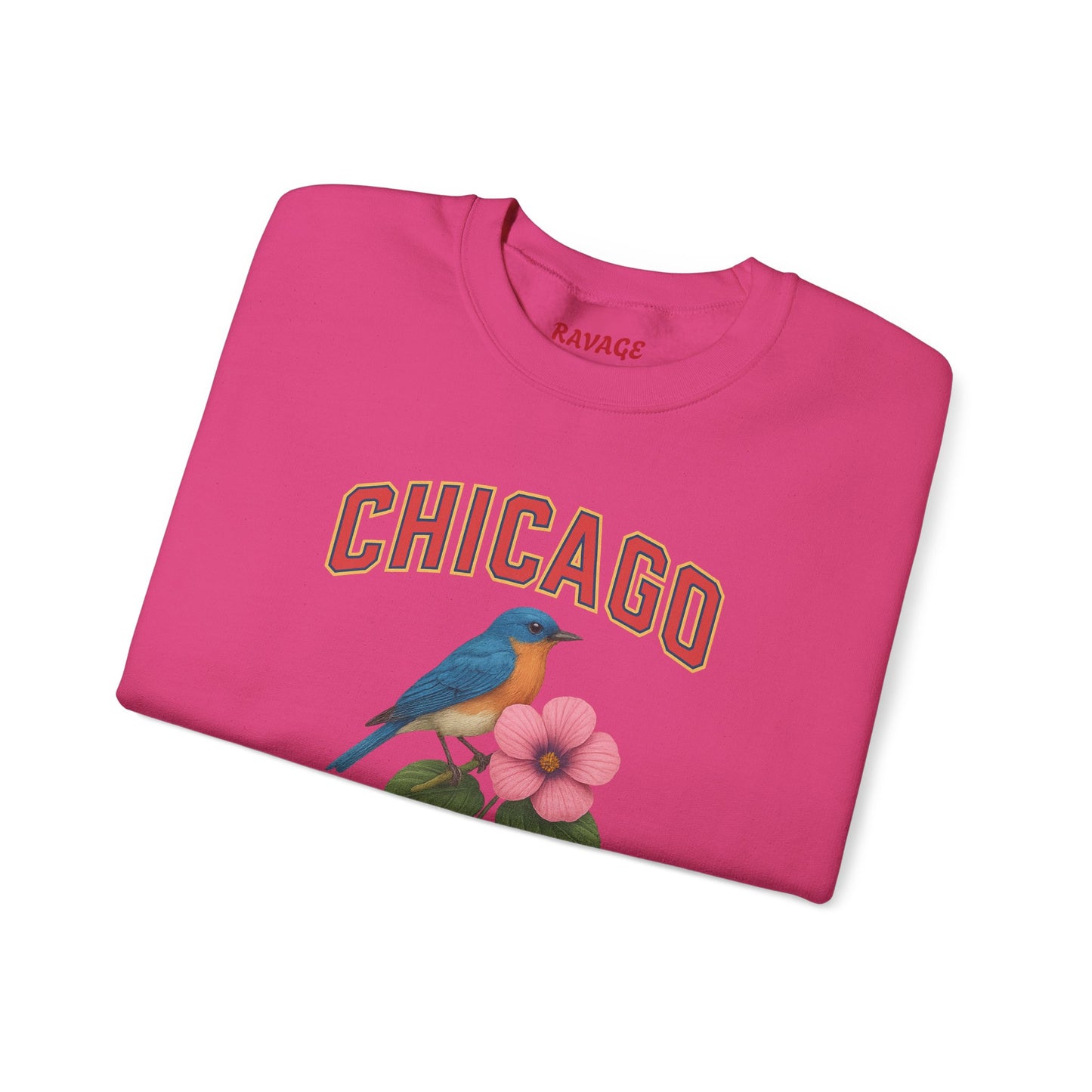 RAVAGE Chicago City Vibe Unisex Crewneck Sweatshirt