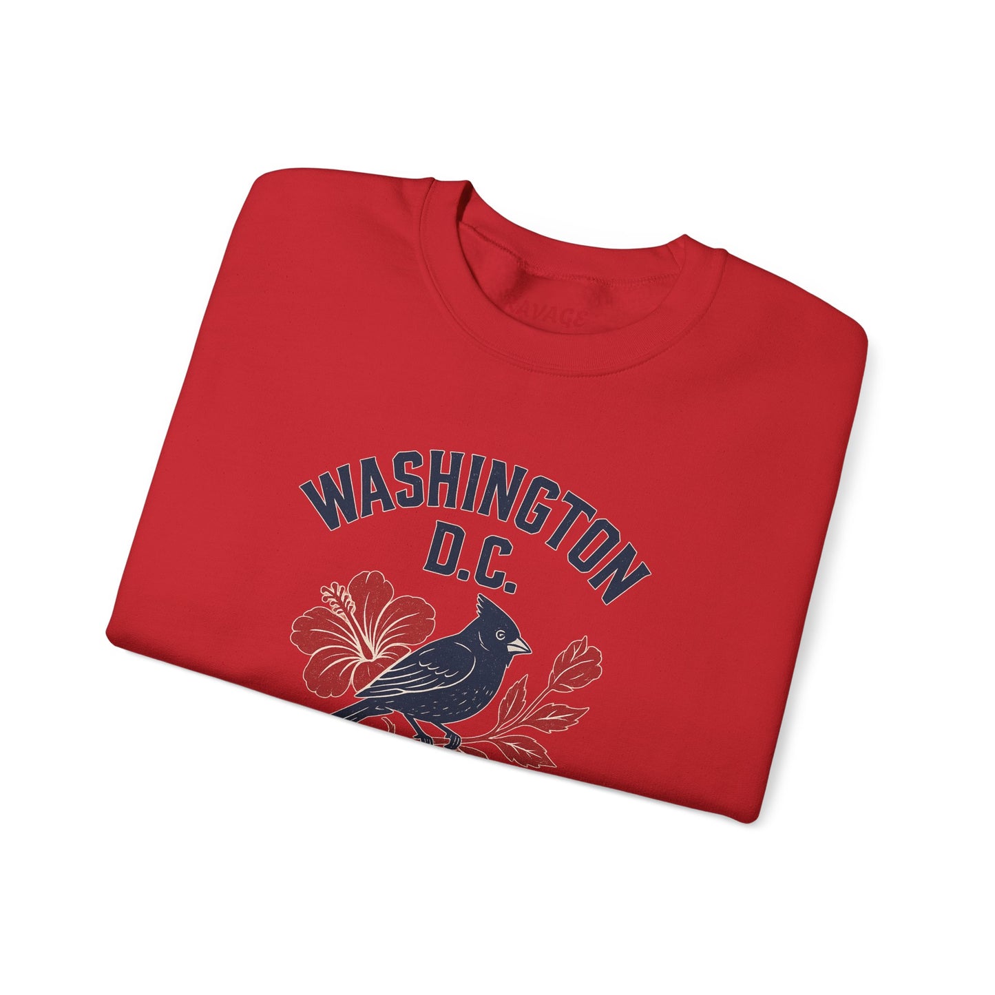 RAVAGE Washington, DC City Vibe Unisex Crewneck Sweatshirt