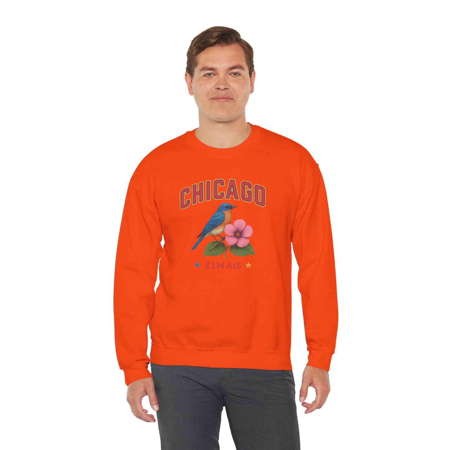 RAVAGE Chicago City Vibe Unisex Crewneck Sweatshirt