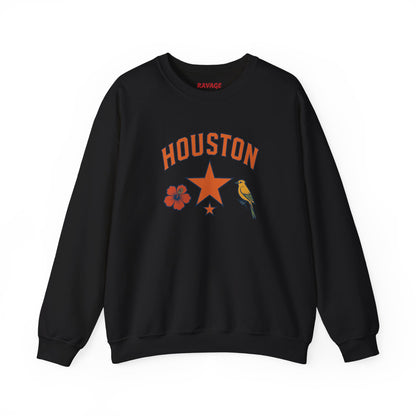 RAVAGE Houston(H-Town) Vibe Unisex Crewneck Sweatshirt