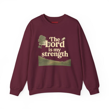Faith-Inspired Crewneck Sweatshirt, Christian Apparel, Inspirational Gift, Religious Fashion, Daily Comfort, Cozy Sweatshirt