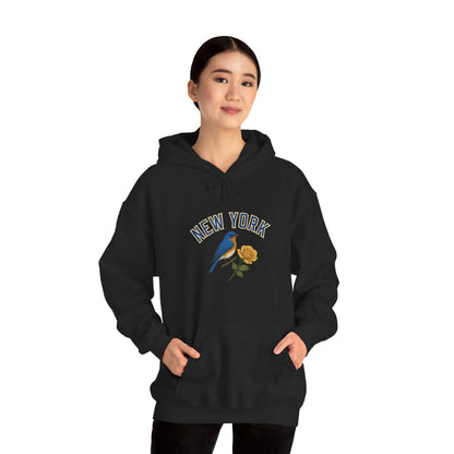 NEW YORK "THE EMPIRE STATE" Unisex Hoodie – Cozy Sweatshirt, Casual Travel Souvenir, Relaxed Streetwear Gift for Nature & City Lovers