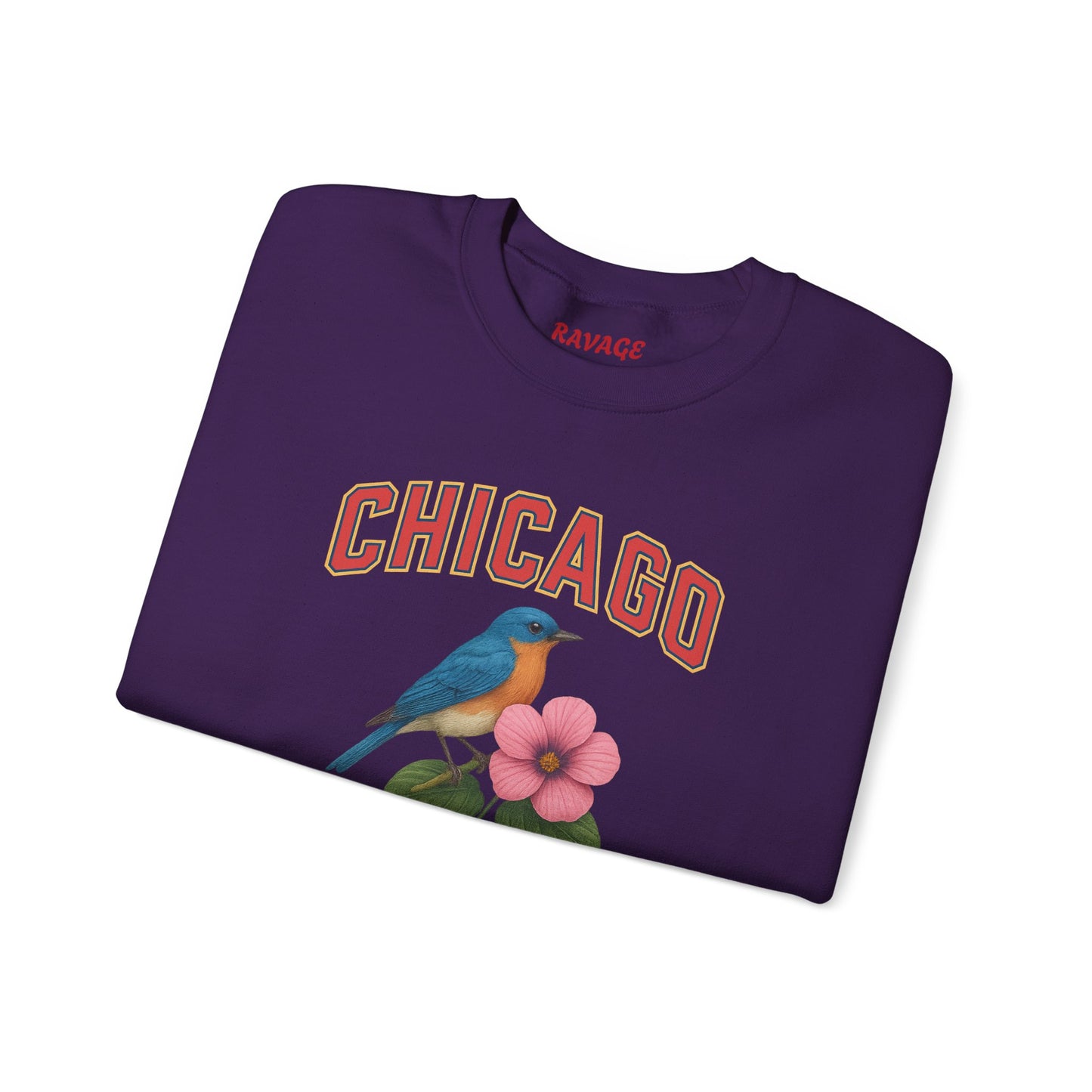 RAVAGE Chicago City Vibe Unisex Crewneck Sweatshirt