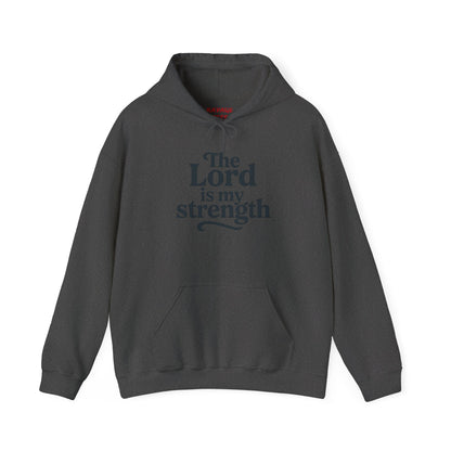 Faith-Inspired Hooded Sweatshirt, Cozy Christian Apparel, Gift for Believers, Inspirational Hoodie, Church Outing Wear