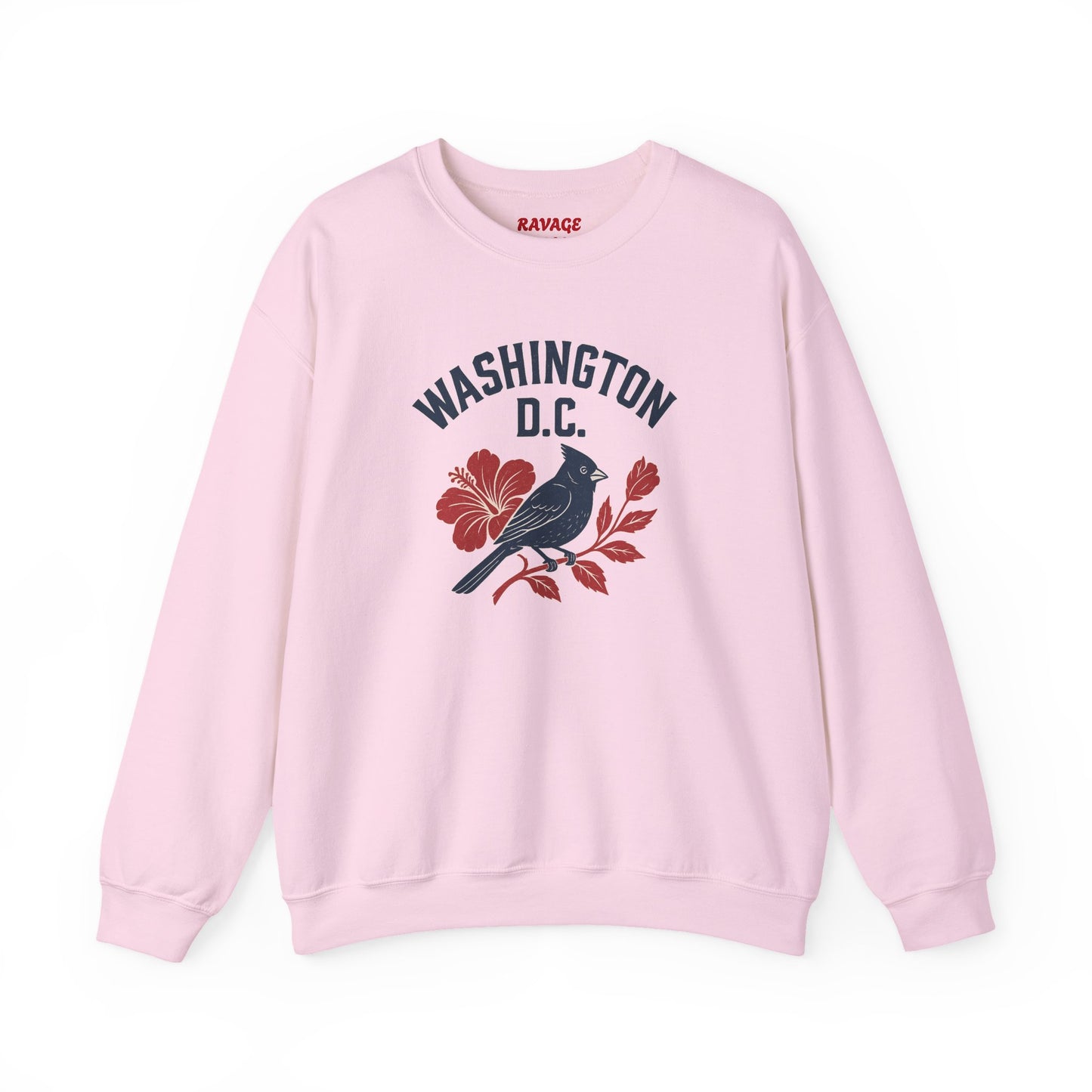 RAVAGE Washington, DC City Vibe Unisex Crewneck Sweatshirt
