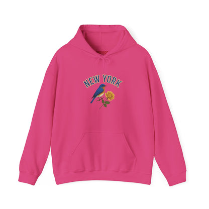 NEW YORK "THE EMPIRE STATE" Unisex Hoodie – Cozy Sweatshirt, Casual Travel Souvenir, Relaxed Streetwear Gift for Nature & City Lovers