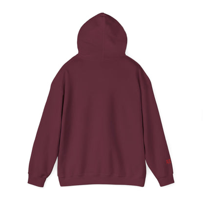 RAVAGE-BREATHE STRETCH RAVAGE Hooded Sweatshirt