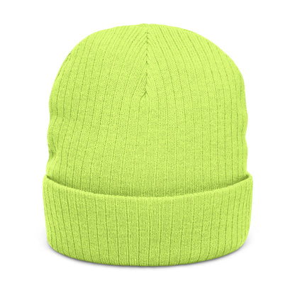Embroidered Ribbed Beanie — SHUTTIEMAN EST 2001 Knit Hat