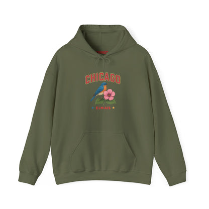 Chicago "The Windy City" Unisex Hoodie – Cozy Sweatshirt, Casual Travel Souvenir, Relaxed Streetwear Gift for Nature & City Lovers