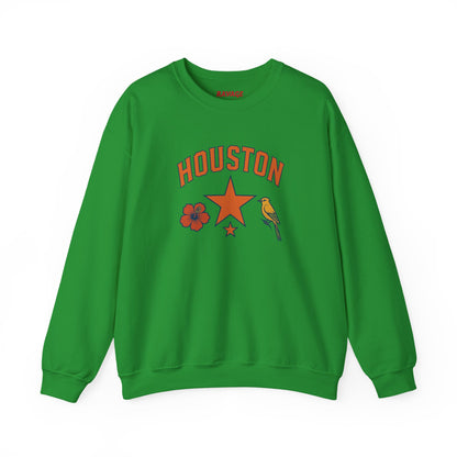 RAVAGE Houston(H-Town) Vibe Unisex Crewneck Sweatshirt